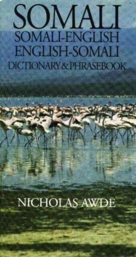 Somali-English/English-Somali Dictionary & Phrasebook av Nicholas Awde