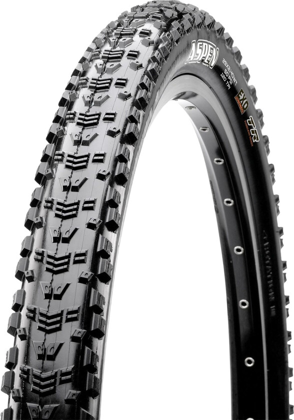 Aspen Tr Exo Wt 29 X 2,40" Dekk