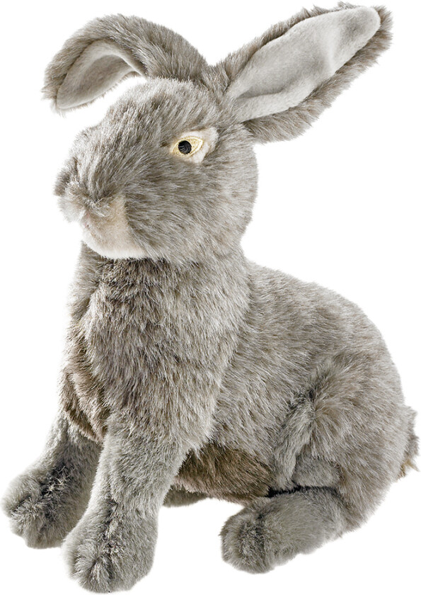 HUNTER Hundeleke Wildlife Hare - ca. L 24 x B 24 x H 12 cm