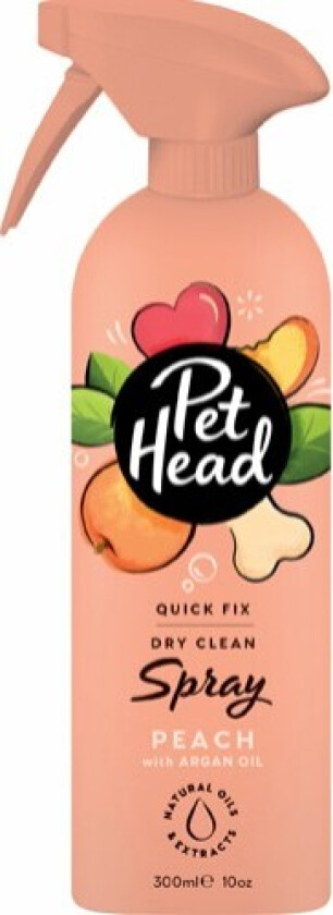 Quick Fix Spray - 300 ml