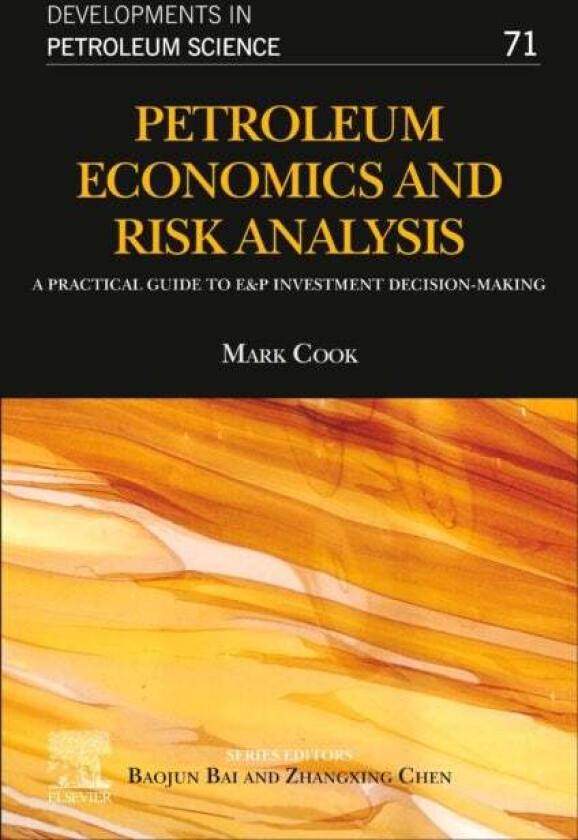 Petroleum Economics and Risk Analysis av Mark (TRACS International Aberdeen Scotlan Cook