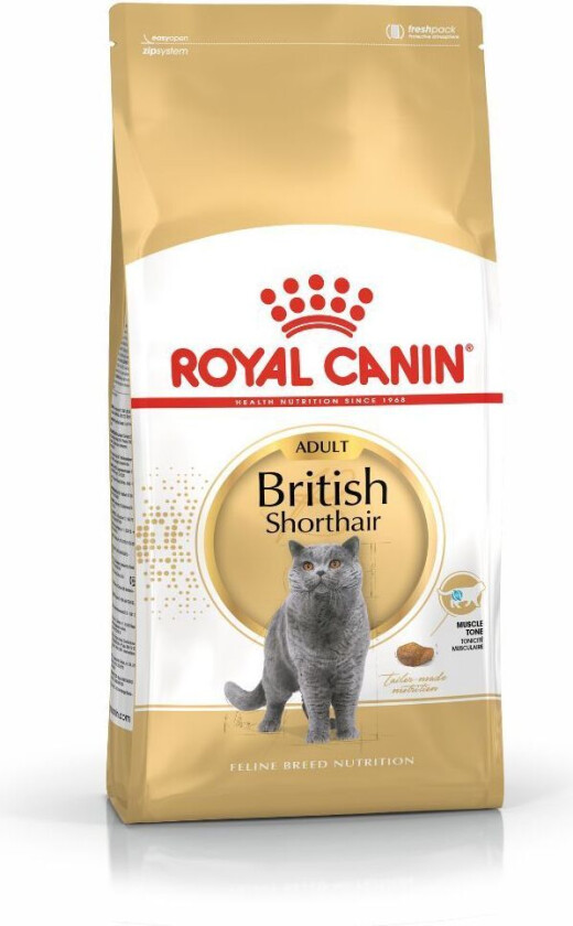 Royal Canin British Shorthair (10 kg)