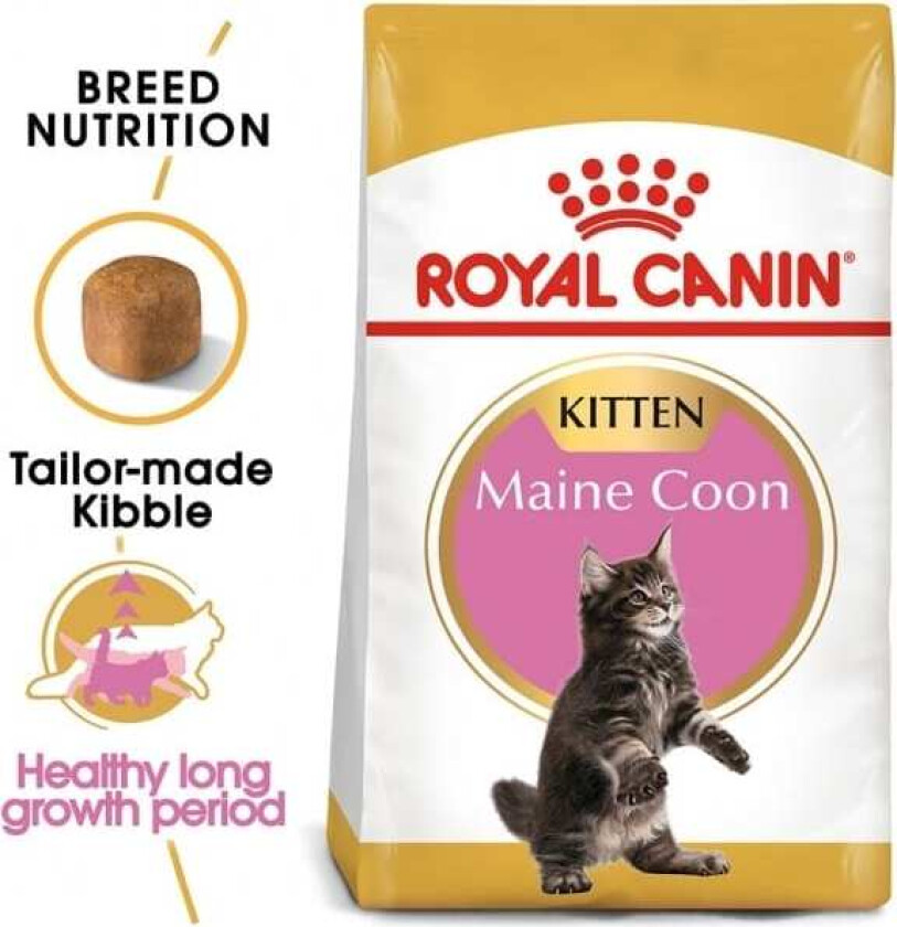 Royal Canin Maine Coon Kitten (10 kg)