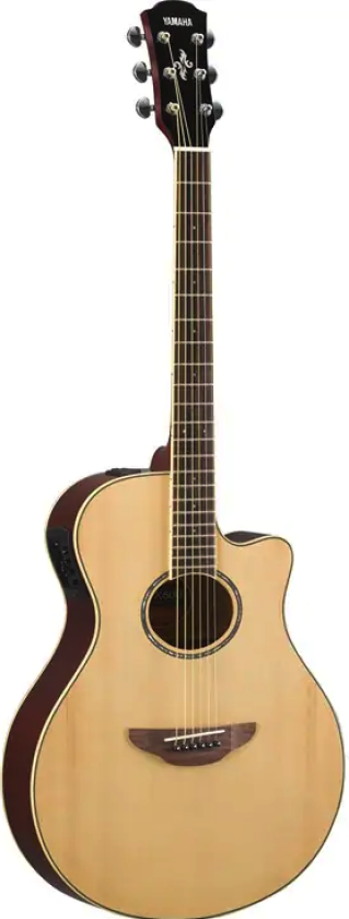APX600 Electro Acoustic Natural