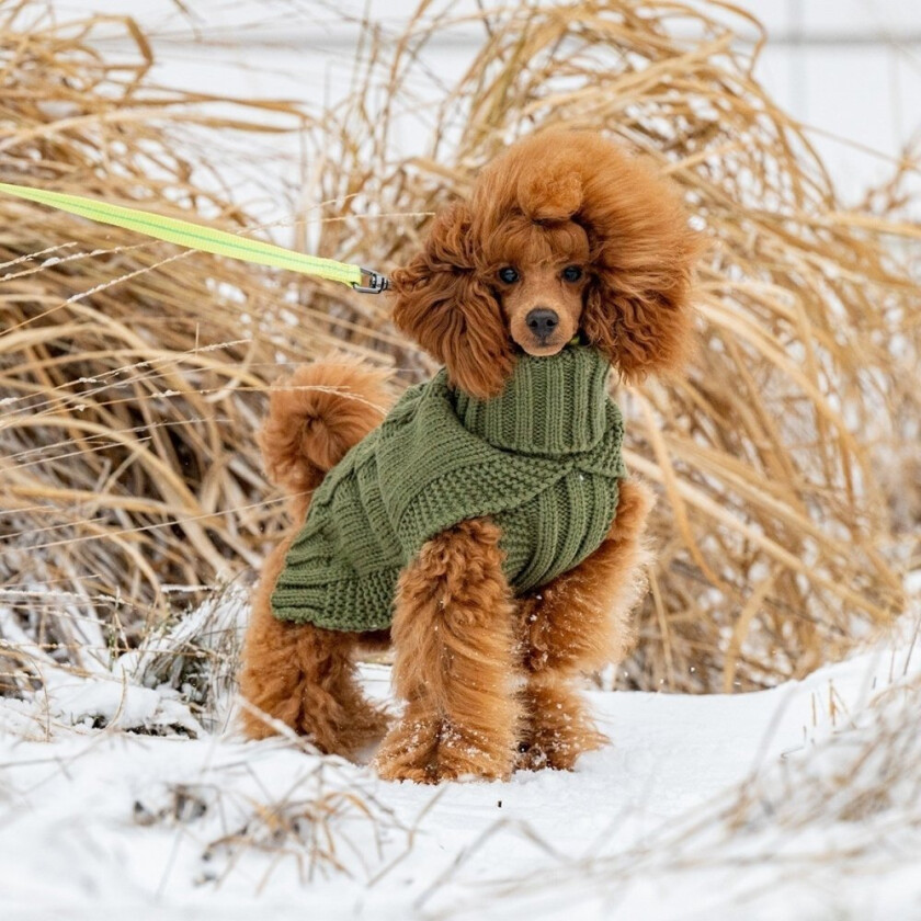 Rukka Wooly Hundegensere Strikket Grønn (L)