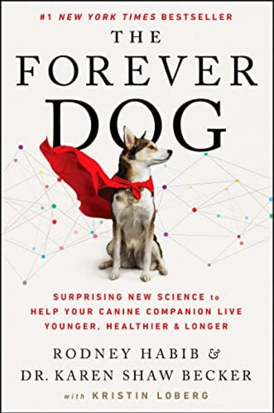 The Forever Dog av Rodney Habib, Karen Shaw Becker