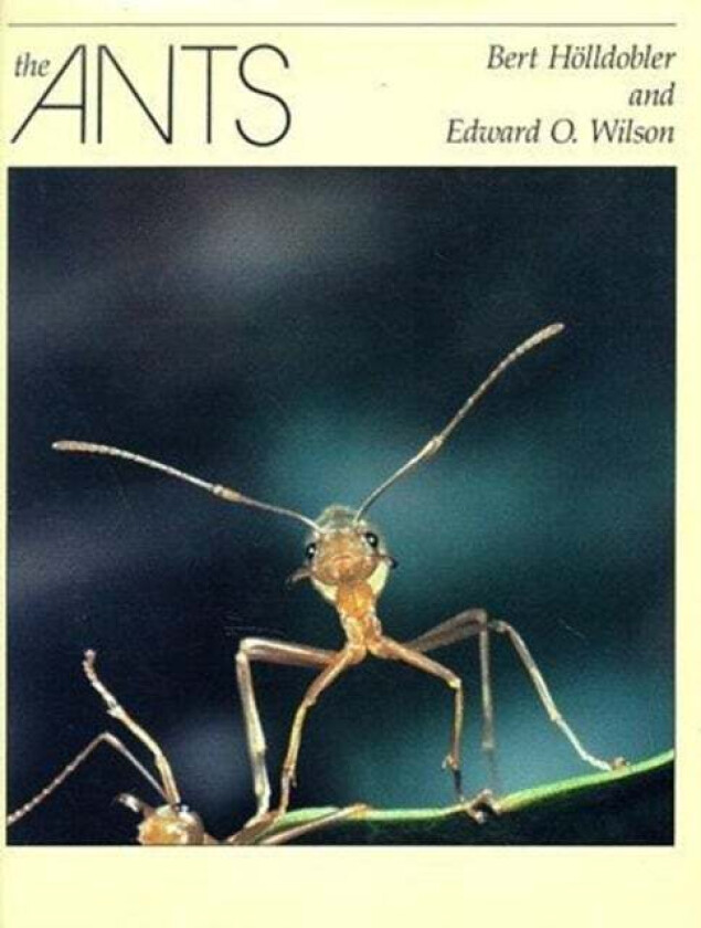 The Ants av Bert Hoelldobler, Edward O. Wilson