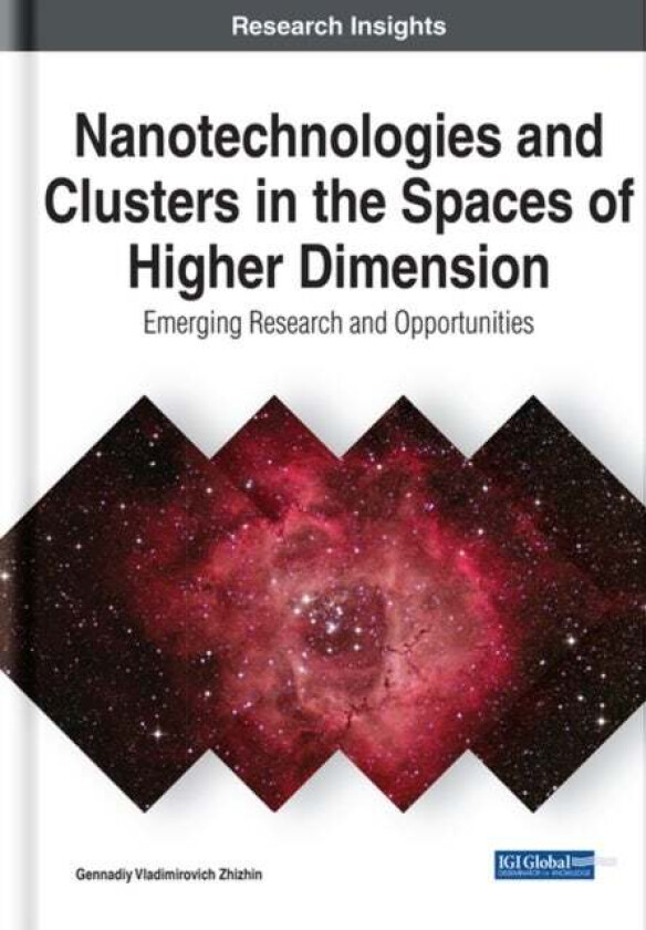 Nanotechnologies and Clusters in the Spaces of Higher Dimension av Gennadiy Vladimirovich Zhizhin