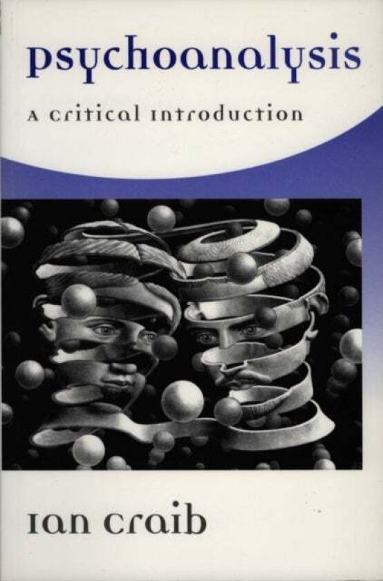 Psychoanalysis av Ian (University of Essex) Craib