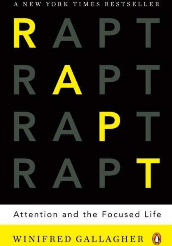 Rapt av Winnifred Gallagher