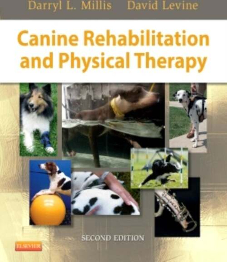 Canine Rehabilitation and Physical Therapy av Darryl (Associate Professor of Orthopedic Surgery Department of Small Animal Clinical Sciences College o