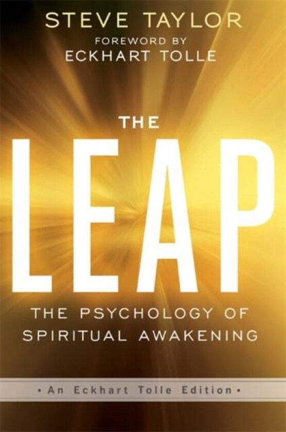The Leap av Steve Taylor