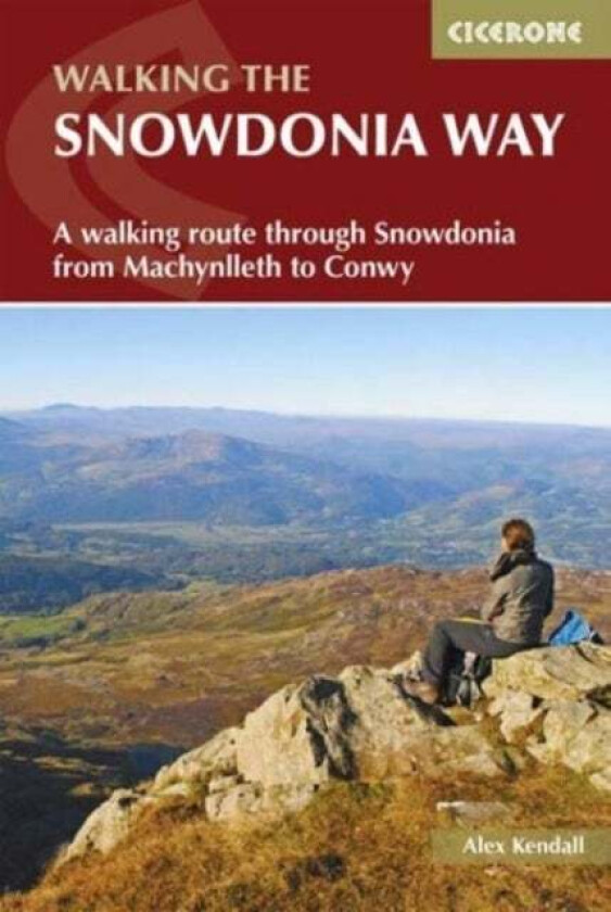 The Snowdonia Way av Alex Kendall