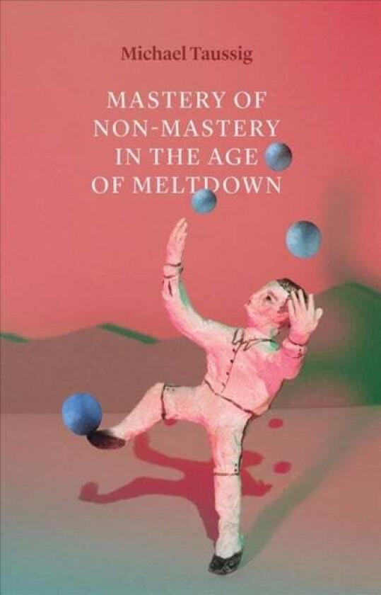 Mastery of Non-Mastery in the Age of Meltdown av Michael Taussig