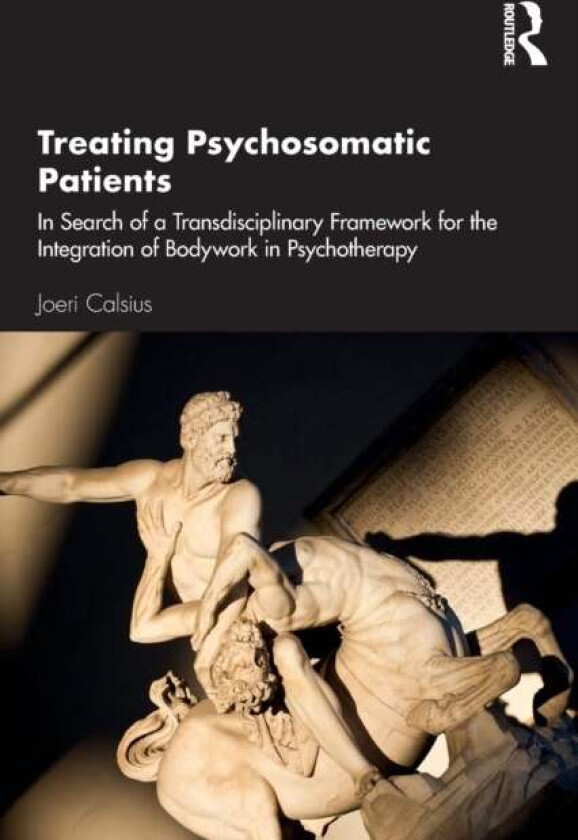 Treating Psychosomatic Patients av Joeri Calsius