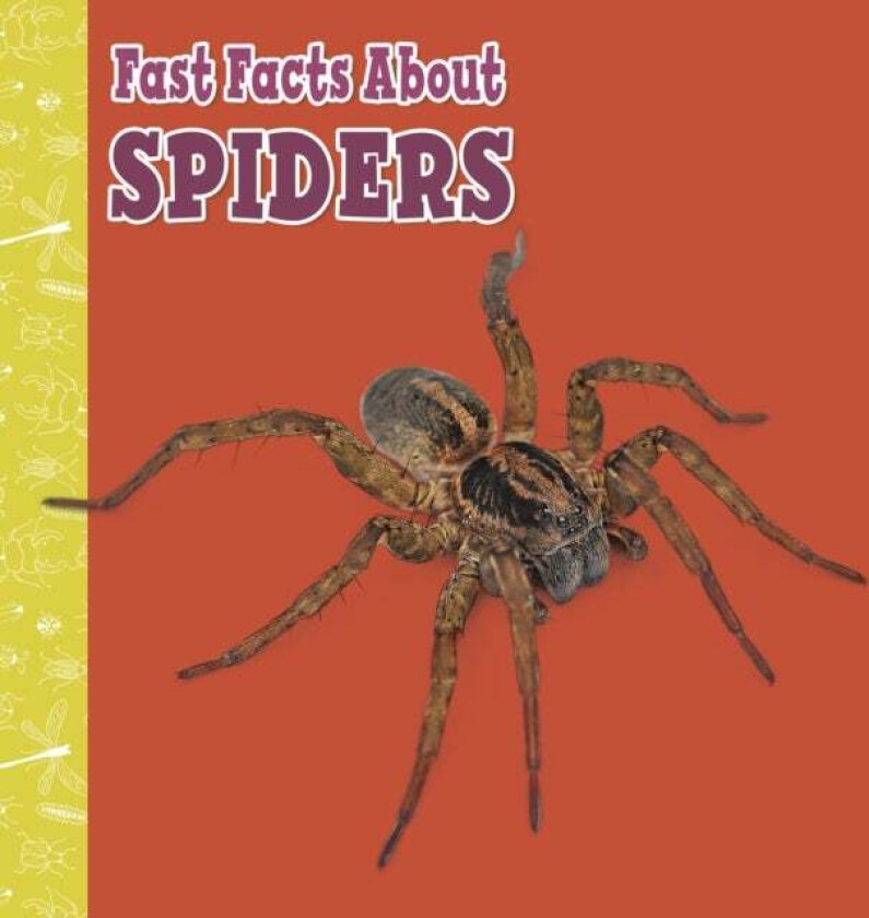 Fast Facts About Spiders av Julia Garstecki-Derkovitz
