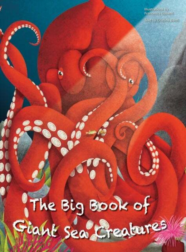The Big Book of Giant Sea Creatures, The Small Book of Tiny Sea Creatures av Cristina Banfi