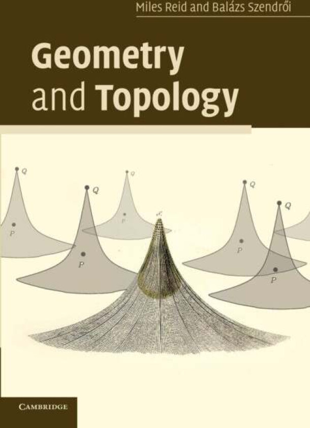 Geometry and Topology av Miles (University of Warwick) Reid, Balazs (Universiteit Utrecht The Netherlands) Szendroi