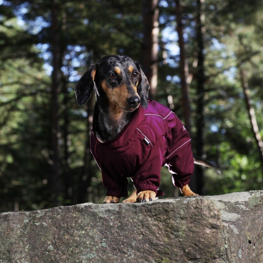 Rukka Thermal Hundeoverall Korte Bein Vinrød (40 cm)