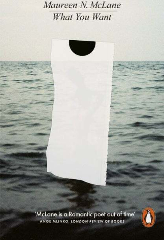 What You Want av Maureen N. McLane