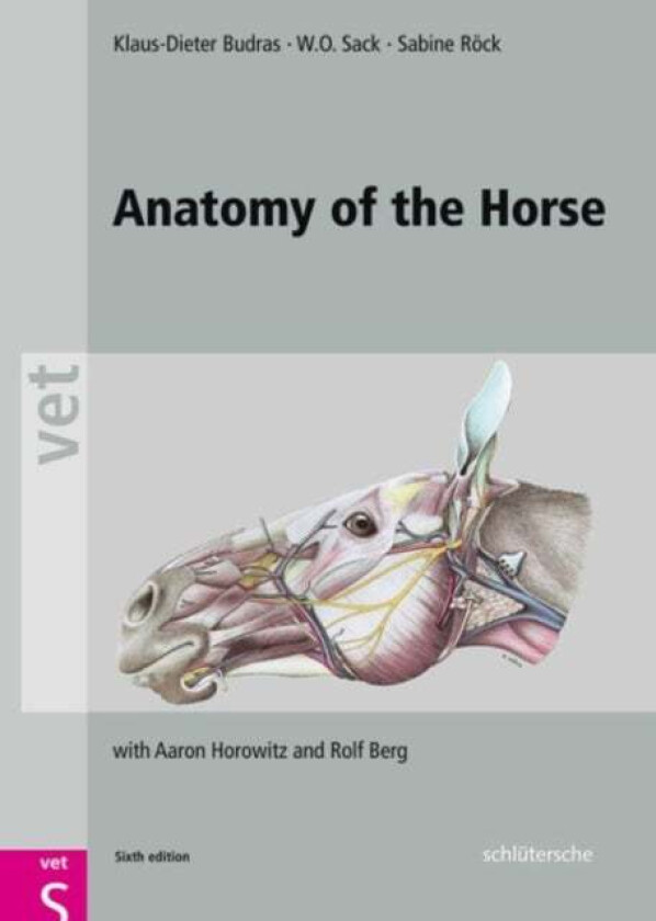 Anatomy of the Horse av Klaus Dieter (University of Berlin Germany) Budras, W. O. (Cornell University USA) Sack, Sabine (University of Berlin Germany)