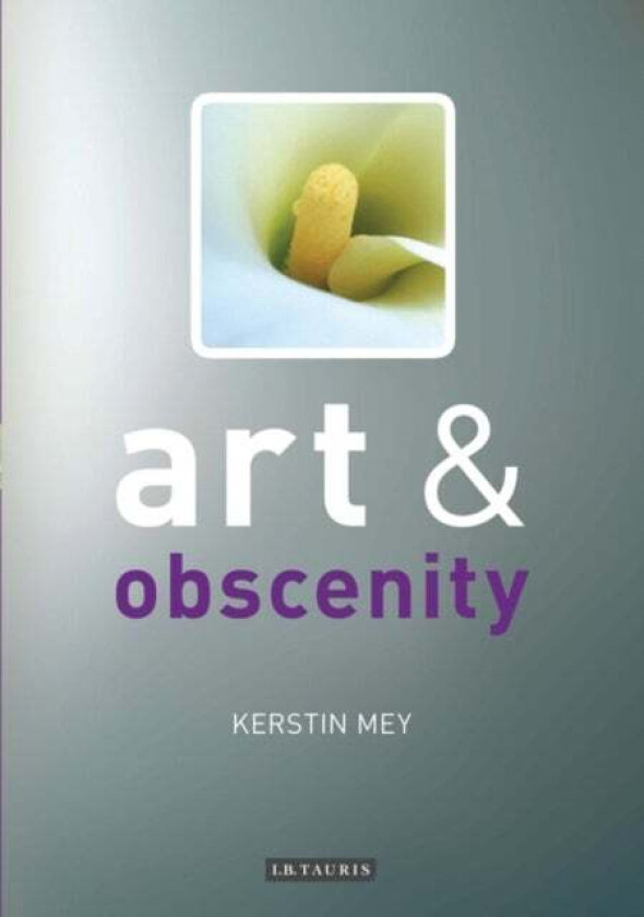 Art and Obscenity av Kerstin Mey