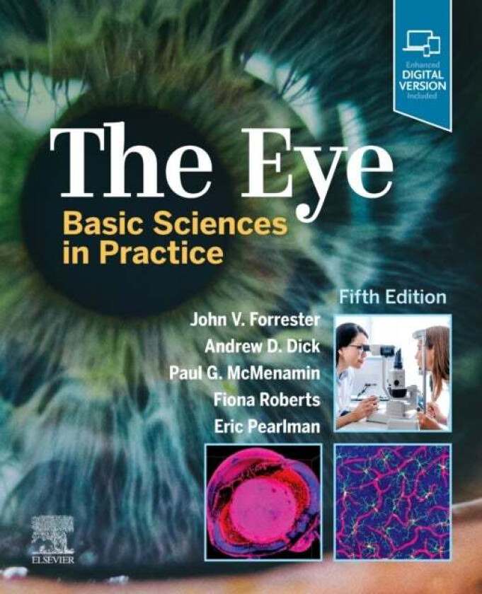 The Eye av John V. Forrester, Andrew D. (Professor of Ophthalmology and Head of Academic Unit of Ophthalmology University of Bristol Dick, UCL-Institu