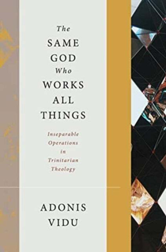 The Same God Who Works All Things av Adonis Vidu