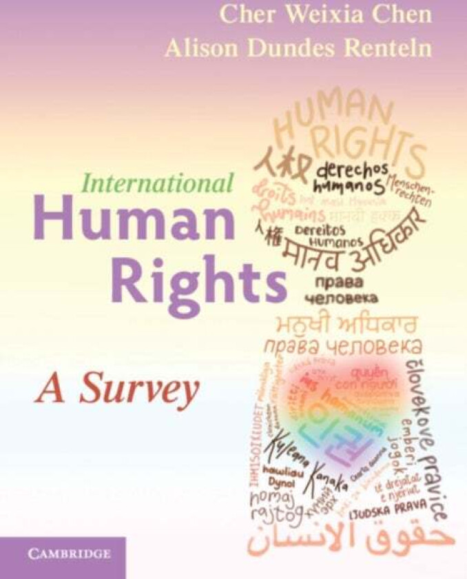 International Human Rights av Cher Weixia Chen, Alison Dundes (University of Southern California) Renteln
