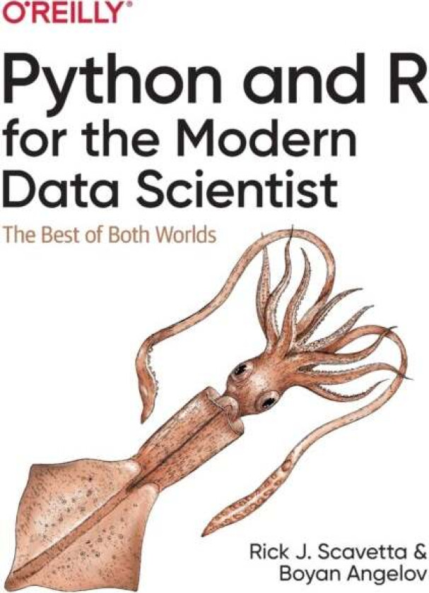 Python and R for the Modern Data Scientist av Rick Scavetta