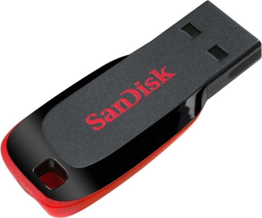 SanDisk USB-minne 2.0 Blade 128 GB