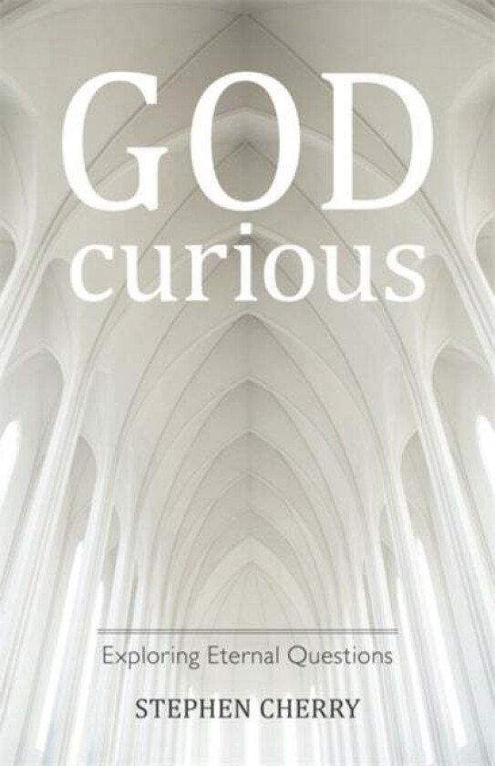 God-Curious av Stephen Cherry