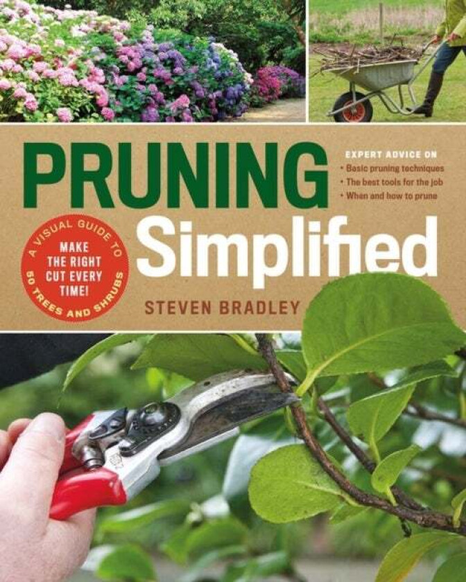 Pruning Simplified av Steven Bradley