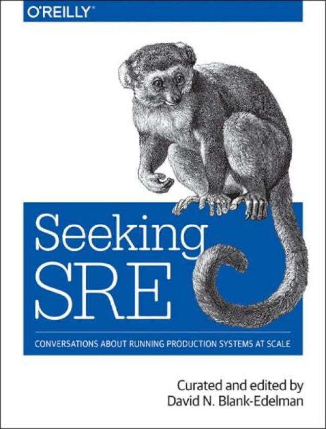 Seeking SRE av David N. Blank-Edelman
