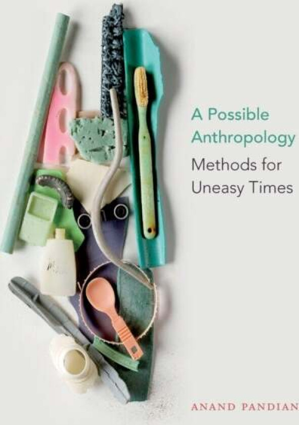 A Possible Anthropology av Anand Pandian
