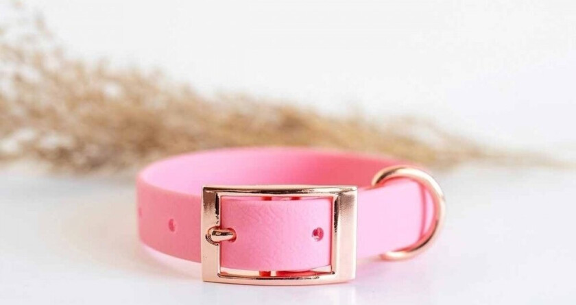 Tyylivoitto Classy Hundehalsbånd Lysrosa (XS)