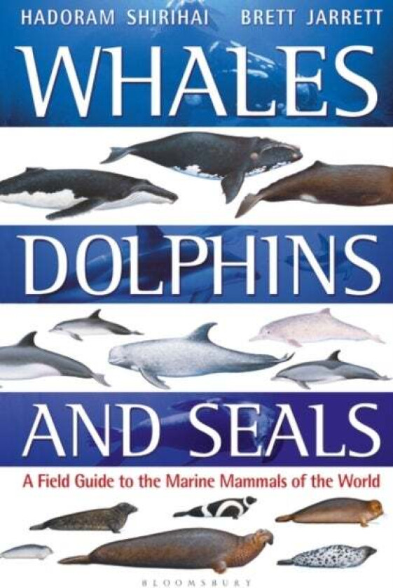 Whales, Dolphins and Seals av Brett Jarrett, Hadoram Shirihai