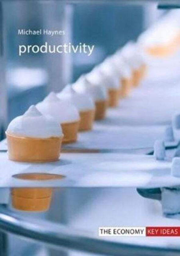 Productivity av Professor Michael (University of Wolverhampton) Haynes