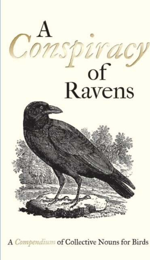 A Conspiracy of Ravens