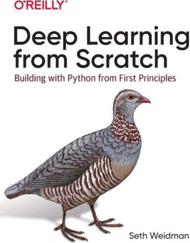 Deep Learning from Scratch av Seth Weidman