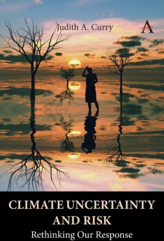 Climate Uncertainty and Risk av Judith Curry