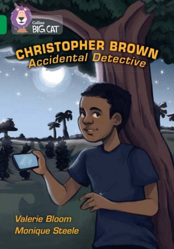 Christopher Brown: Accidental Detective av Valerie Bloom