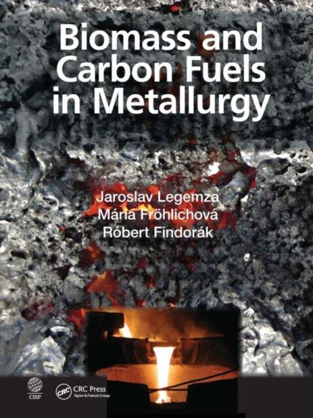 Biomass and Carbon Fuels in Metallurgy av Jaroslav (Technical University of Kosice Kosice Slovakia) Legemza, Maria (Technical University of Kosice Kos