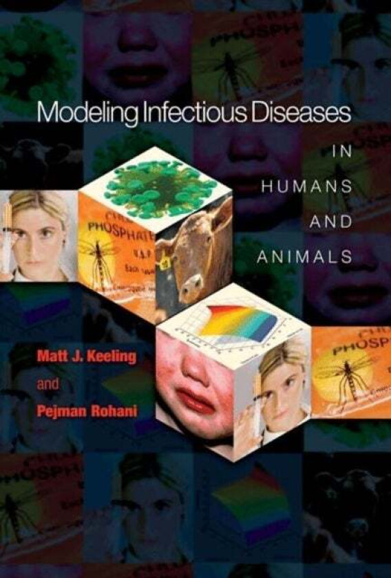 Modeling Infectious Diseases in Humans and Animals av Matt J. Keeling, Pejman Rohani