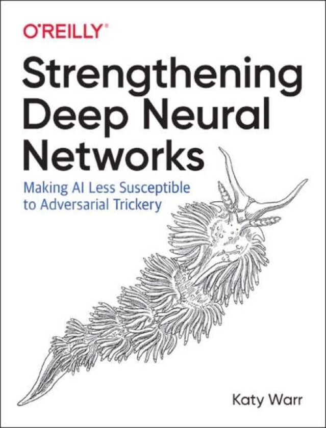 Strengthening Deep Neural Networks av Katy Warr