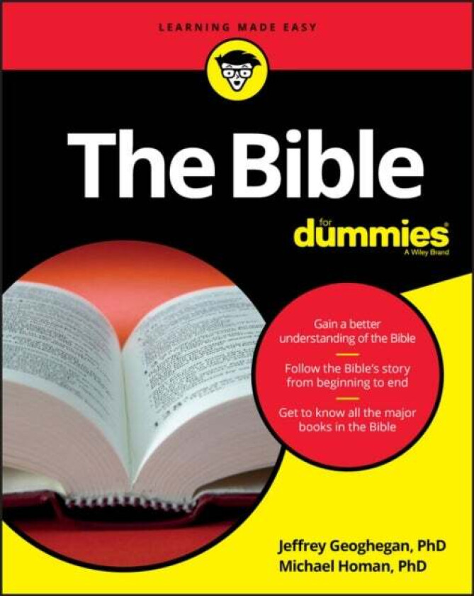 The Bible For Dummies av Jeffrey (Boston College) Geoghegan, Michael (Xavier University) Homan