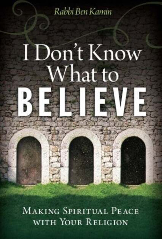 I Don't Know What to Believe av Rabbi Ben (Rabbi Ben Kamin) Kamin