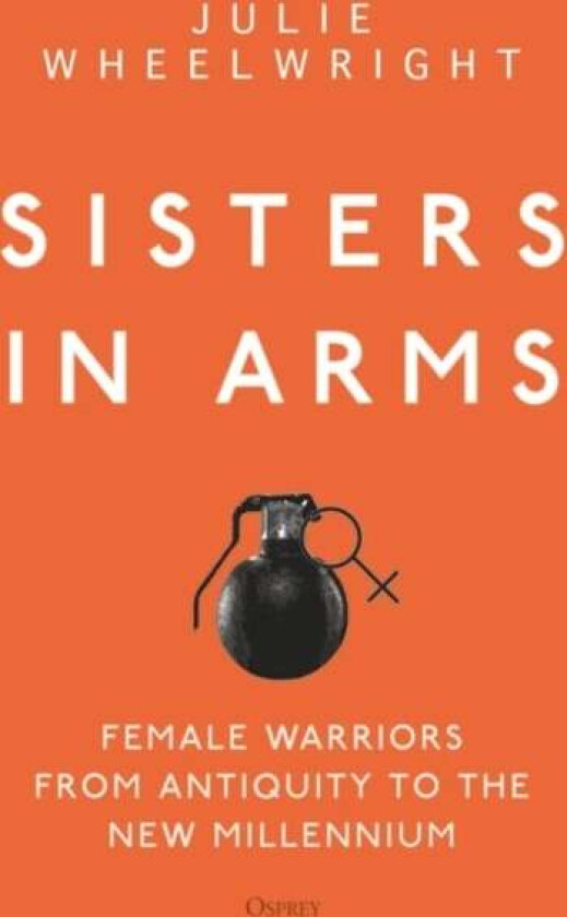 Sisters In Arms Av Julie Wheelwright