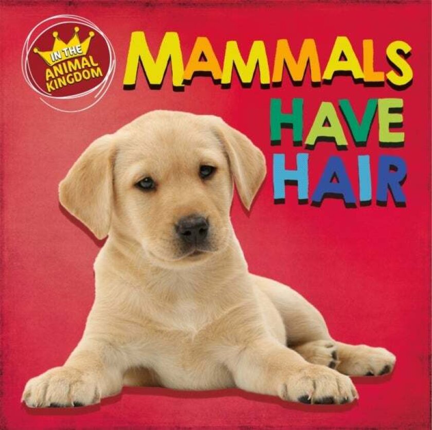 In the Animal Kingdom: Mammals Have Hair av Sarah Ridley