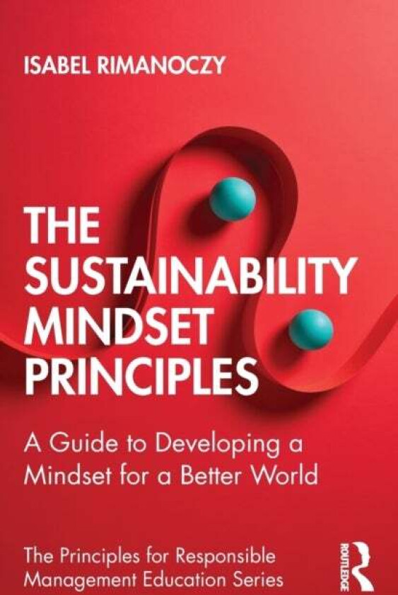 The Sustainability Mindset Principles av Isabel Rimanoczy
